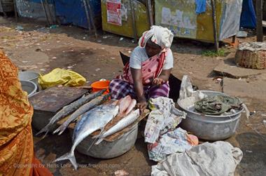 Vizhinjam, Fish Market,_DSC_9026_H600